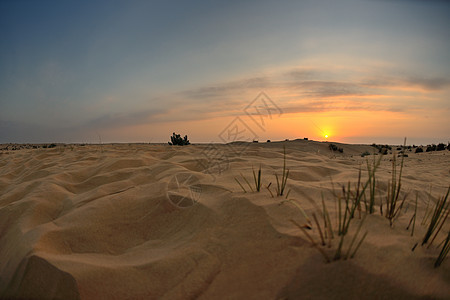 撒哈拉沙漠的沙丘上,蓝天云彩的日落图片