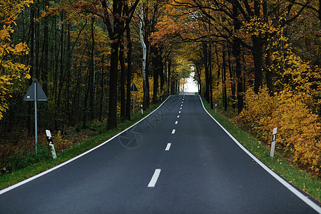 乡村道路秋天的季节,明亮的橙色早晨日出图片