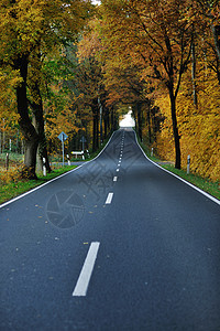 乡村道路秋天的季节,明亮的橙色早晨日出图片