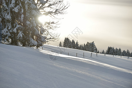 冬季自然景观山岳与树木新鲜的雪图片