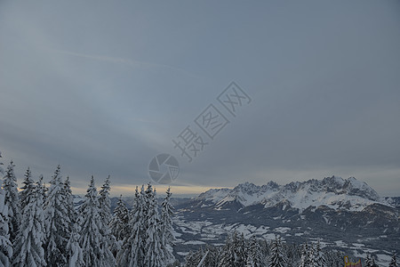 冬季自然景观山岳与树木新鲜的雪图片