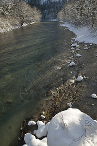 冬季自然景观山岳与树木新鲜的雪图片