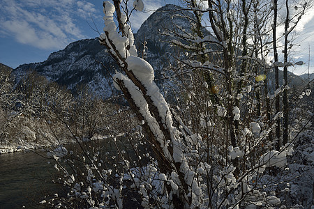 冬季自然景观山岳与树木新鲜的雪图片