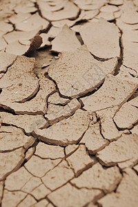 问号雨干棕色地背景背景