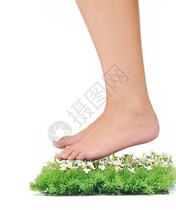 女人的腿走绿色的草地上,孤立白色上,代表最后的绿洲图片