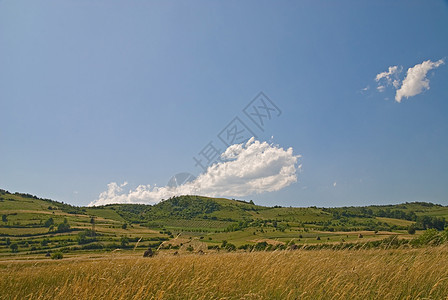 夏季景观图片