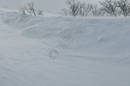 美丽的冬季景观与冰雪强风图片