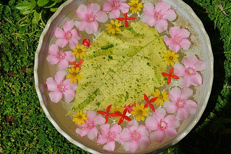 水杯美丽的花朵,各种背景颜色水疗健康美容中心图片