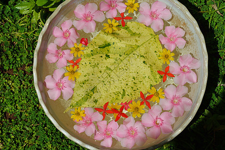 水杯美丽的花朵,各种背景颜色水疗健康美容中心图片