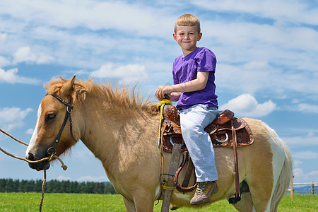 快乐的孩子骑农场动物棕色小马,背景蓝天,美丽的自然图片