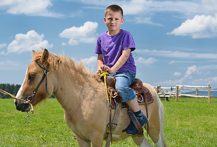 快乐的孩子骑农场动物棕色小马,背景蓝天,美丽的自然图片