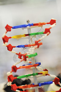 DNA下巴螺旋分子学校化学生物学工具图片