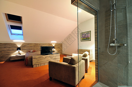 现代酒店客房室内公寓,配双人床液晶电视图片