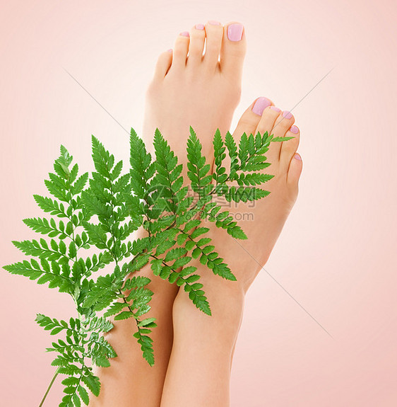 米色背景上绿色蕨叶的雌脚的图片图片