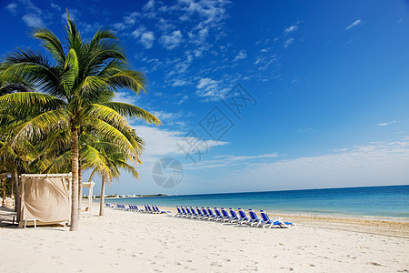 美丽的加勒比热带度假胜地的明亮图片图片