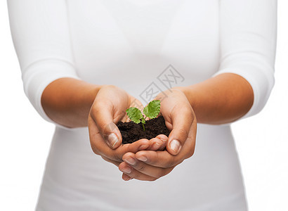 肥力自然女手握植物土壤中的特写图片