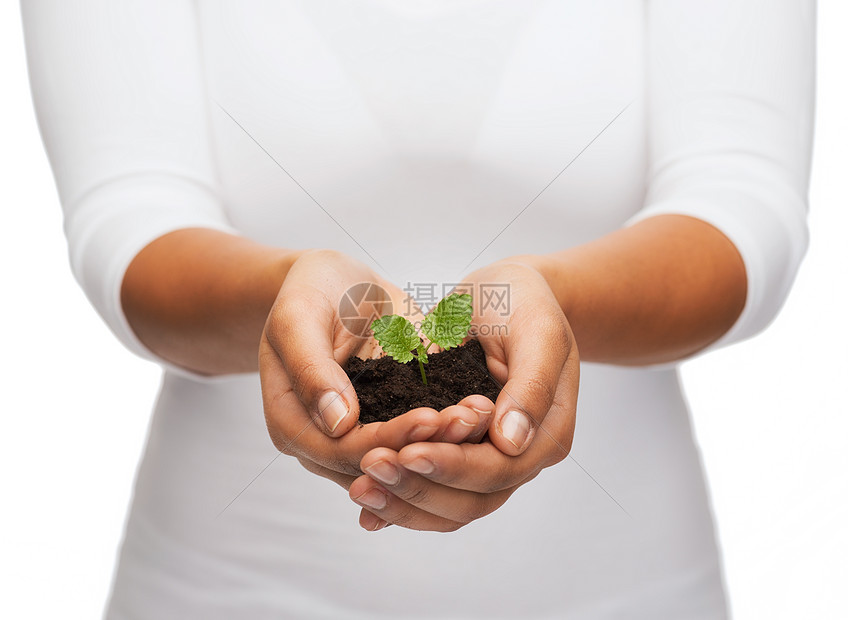 肥力自然女手握植物土壤中的特写高清图片下载 正版图片 摄图网