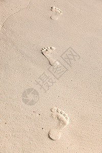 旅行,冒险海滩沙滩上的脚印图片