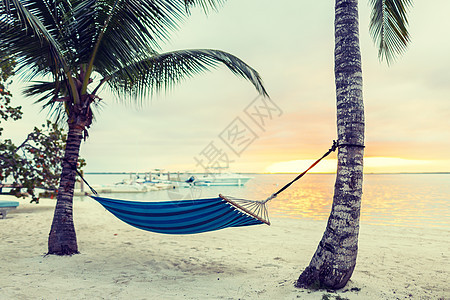 海滩,夏季休闲蓝色吊床热带海滩图片