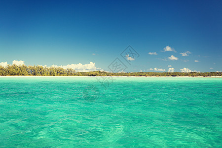 度假,旅行背景蓝海海洋,海滩森林图片