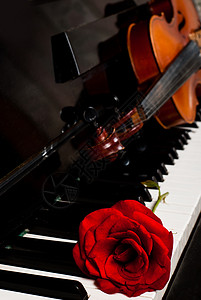 小提琴钢琴特写与红色玫瑰音乐会广告与图片
