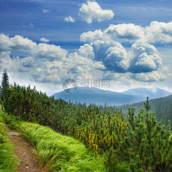 草地云杉山脉的景观图片