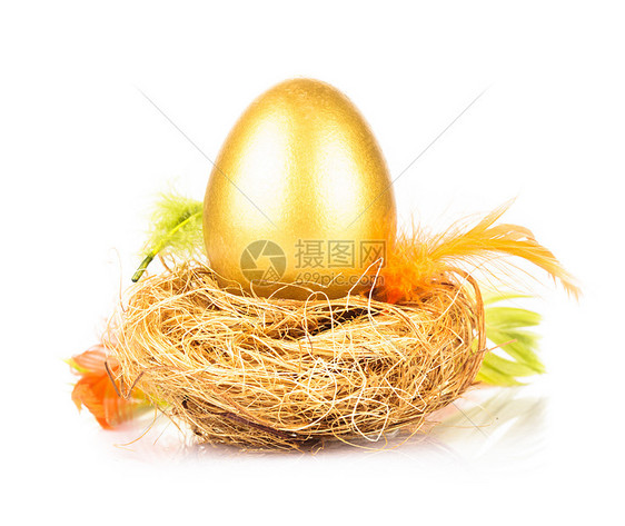 个金蛋巢中分离白色上图片