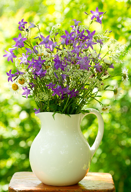 夏天的花放罐子里