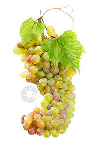 新鲜葡萄,叶分离白色背景上图片