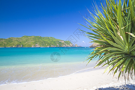 海滩热带海洋拍摄夏天拍摄图片