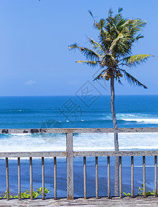 未触及的沙滩,棕榈树蔚蓝的海洋背景全景图片