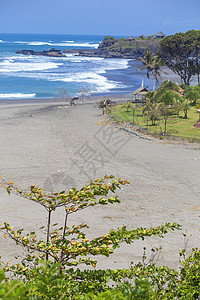 未触及的沙滩,棕榈树蔚蓝的海洋背景全景图片