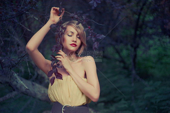 仙女森林里轻漂亮女士的照片图片