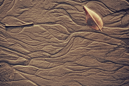 湿海砂与水的模式图片