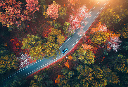 日落时,秋天的森林里,用模糊的汽车俯瞰道路令人惊叹的景观与乡村道路,树木与红色橙色的叶子白天穿过公园的高速公路图片