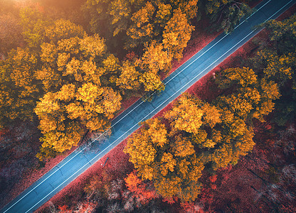 日落时美丽的秋林中的道路鸟瞰美丽的风景与空旷的乡村道路,树木与红色橙色的叶子穿过公园的高速公路飞行无人机的顶部视图图片