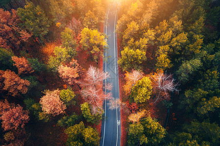 日落时美丽的秋林中的道路鸟瞰美丽的风景与空旷的乡村道路,树木与红色橙色的叶子穿过公园的高速公路飞行无人机的顶部视图图片