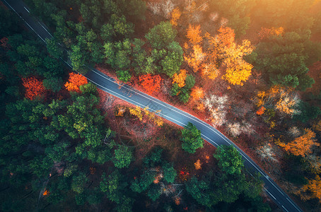 日落时美丽的秋林中的道路鸟瞰美丽的风景与空旷的乡村道路,树木与绿色,红色橙色的叶子穿过公园的高速公路飞行无人机的顶图片