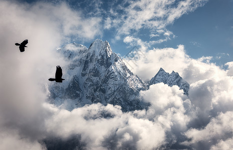 两只飞鸟抗雄伟的马纳斯鲁山,雪峰云中阳光明媚的日子尼泊尔景观美丽的高岩石蓝色的多云天空自然背景仙女的场景图片