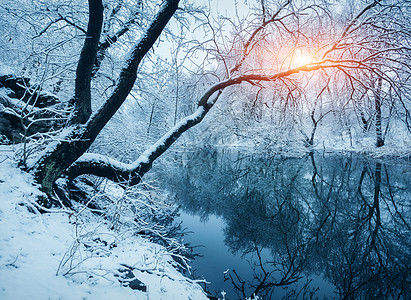 日落时河上的冬季森林五颜六色的风景与雪树,河流与倒影寒冷的夜晚雪覆盖着树木湖泊太阳蓝天雪冬里美丽的森林日图片