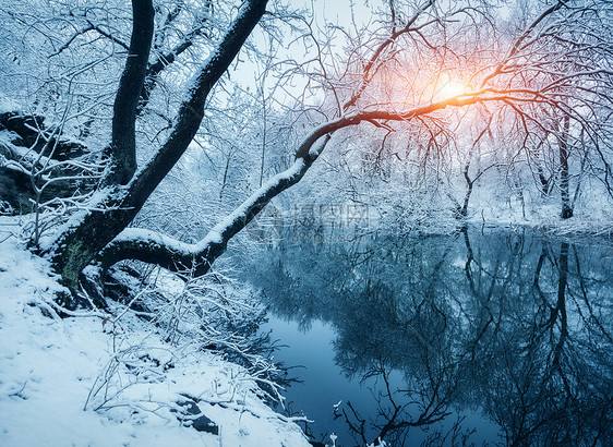 日落时河上的冬季森林五颜六色的风景与雪树,河流与倒影寒冷的夜晚雪覆盖着树木湖泊太阳蓝天雪冬里美丽的森林日图片