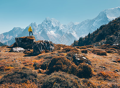 站石头上的人,日落时看着迷人的山脉风景与旅行者,高岩石与雪峰,草,树木秋天尼泊尔生活方式,旅行喜马拉雅山徒图片