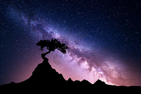 银河系山上的树老树岩石中生长出来,映衬着夜空中紫色的银河夜风景太空背景星系山岭荒野,狂野的自然图片