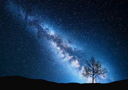 银河系田野上的树棵小树着夜空,着蓝色的银河夜风景太空背景星系自然旅行背景荒野,狂野的自然图片