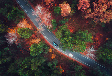 秋天森林中带模糊汽车的道路鸟瞰图令人惊叹的景观与乡村道路,树木与绿色,红色橙色的叶子白天穿过公园的高速公路飞行图片