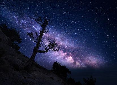 山上的树着银河夜风景夜晚五彩缤纷的风景夏天的星空美丽的宇宙星系老树的背景紫色的银河旅行图片