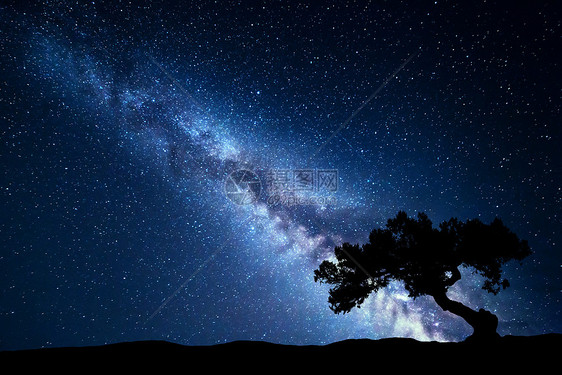 抗银河的树夜风景夜晚五彩缤纷的风景夏天的星空美丽的宇宙星系老树的背景蓝色银河旅行图片