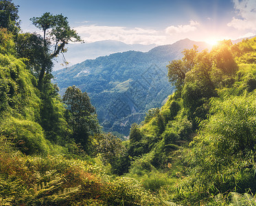 热带森林,夏天日落时山上绿树五颜六色的风景与丛林山上,金色的阳光,蓝天与云彩尼泊尔喜马拉雅山旅行山上图片