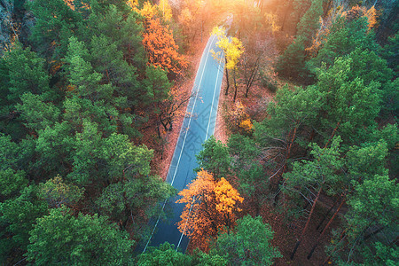 日落时美丽的春林中的道路鸟瞰美丽的风景与空旷的乡村道路,树木与绿色橙色的叶子穿过公园的高速公路飞行无人机的顶部视图图片