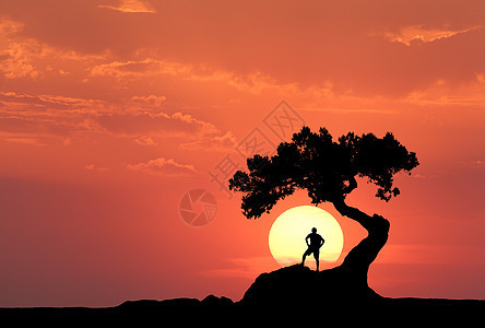 黄色太阳背景下的老树下的人黄色太阳背景下的老树下的人个站山上的运动男子的轮廓五颜六色的橙色天空与云彩日落晚上图片